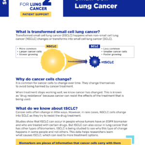 Transformed Small Cell Lung Cancer (tSCLC)
