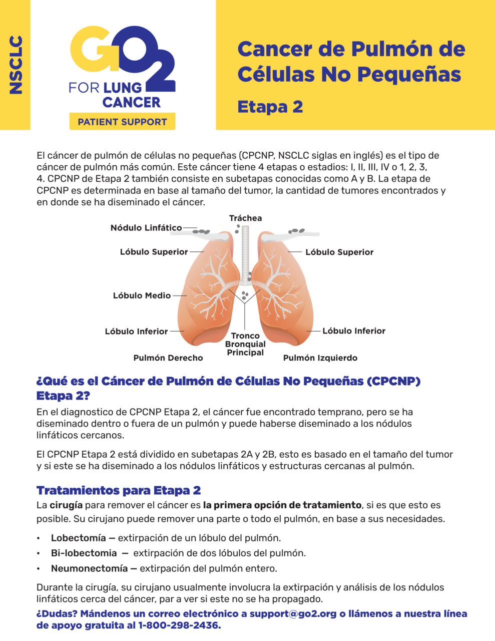 GO2 - Cancer de Pulmón de Células No Pequeñas - Etapa 2