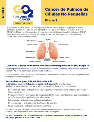 GO2-Cancer-de-Pulmon-de-Clulas-No-Pequeas-Etapa-1