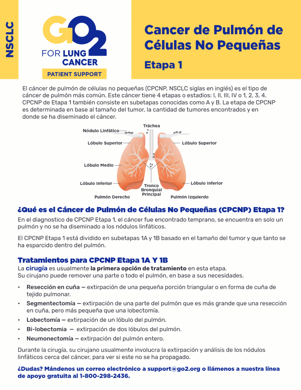 GO2-Cancer-de-Pulmon-de-Clulas-No-Pequeas-Etapa-1