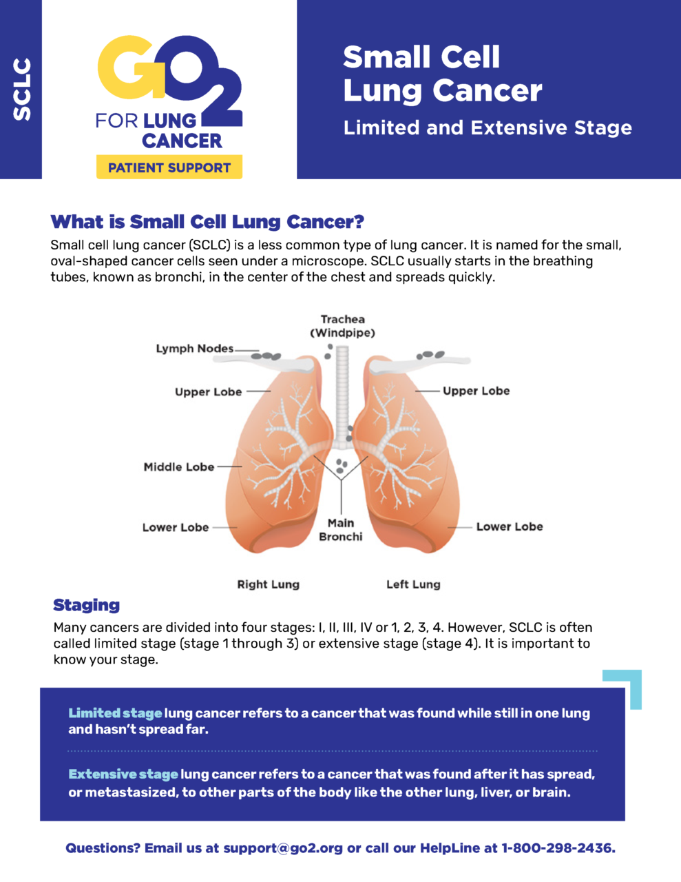 Small Cell Lung Cancer Limited and Extensive Stage