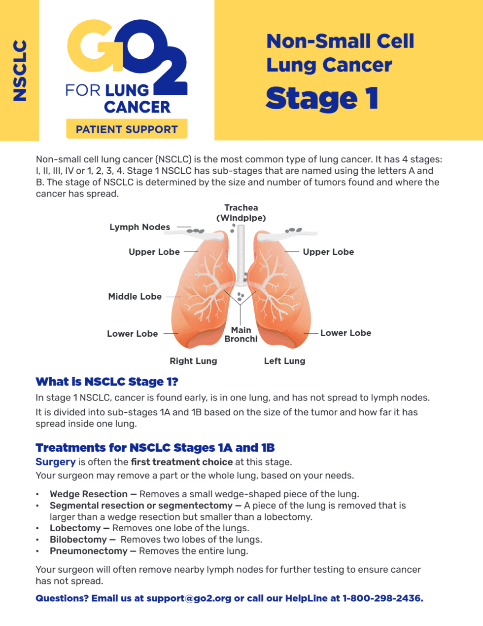 Stage 1 Non-Small Cell Lung Cancer | GO2 for Lung Cancer