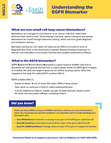 Understanding the EGFR Biomarker